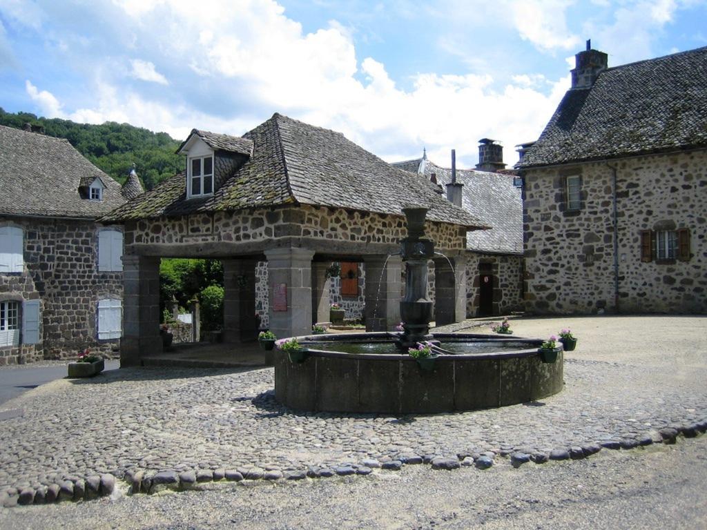 Гостевой дом Domaine De La Chaux De Revel Saint-Martin-Valmeroux Экстерьер фото
