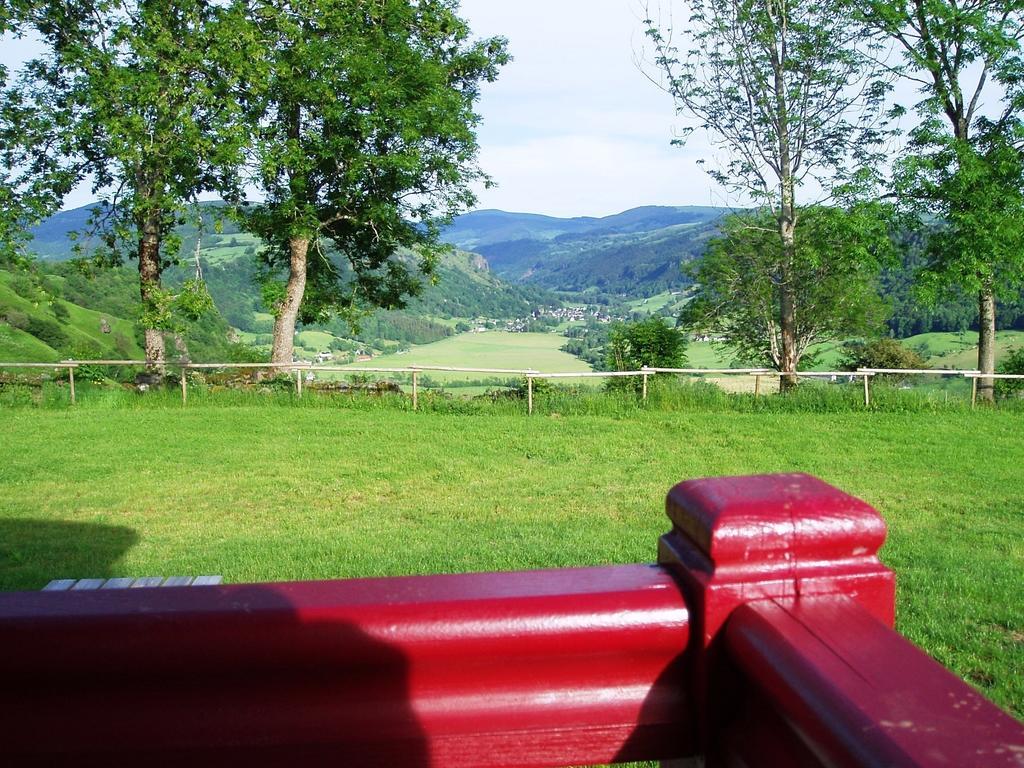 Гостевой дом Domaine De La Chaux De Revel Saint-Martin-Valmeroux Экстерьер фото